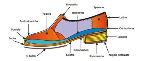 diagramma che mostra le componenti di una scarpa ergonomica per bambini (contrafforte, suola flessibile, punta)