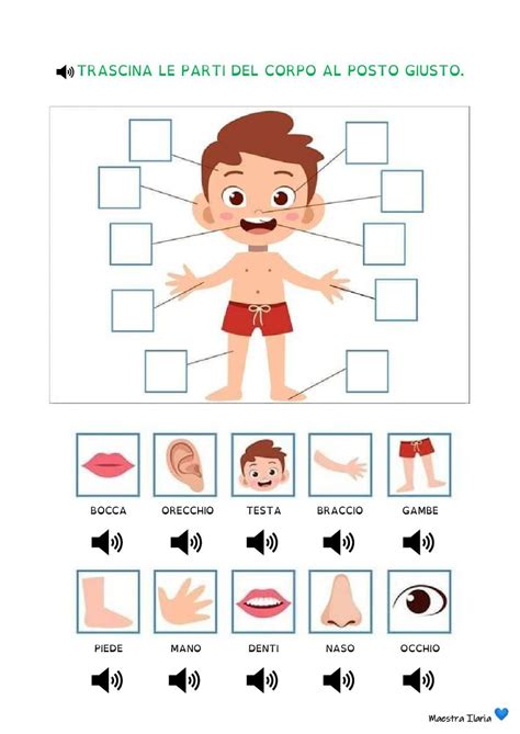 bambino che impara le parti del corpo