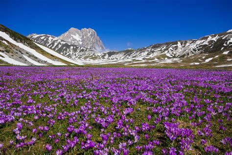 Paesaggio di Campo Imperatore