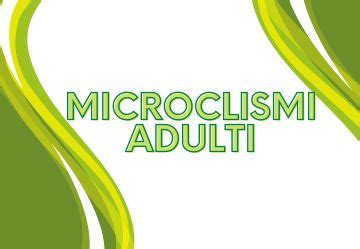 infografica che illustra il funzionamento meccanico dei microclismi a base di miele rispetto a quelli tradizionali