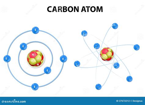Struttura molecolare del carbonio organico