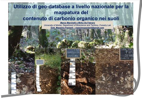 Diagramma dei benefici del carbonio organico nel suolo