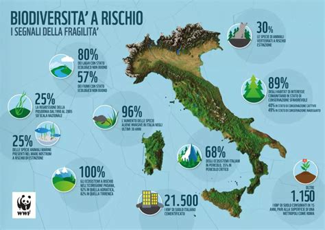 Ricostruzione grafica dei luoghi legati alla scomparsa e al ritrovamento
