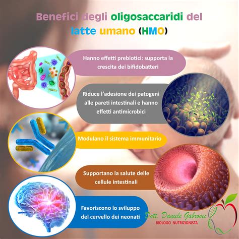 Struttura chimica di vari Oligosaccaridi del Latte Umano (HMO)