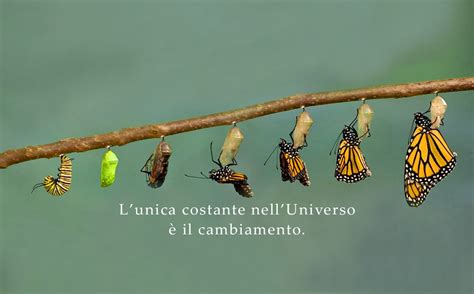 Un'immagine simbolica che rappresenta la serenità e il cambiamento personale
