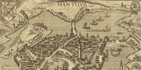 Mappa del territorio di San Cesareo che evidenzia la distribuzione dei principali centri medici e studi professionali