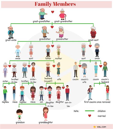 Family names on a family tree