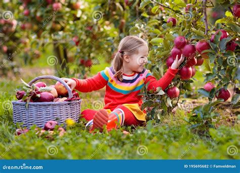 Bambini che raccolgono frutta autunnale