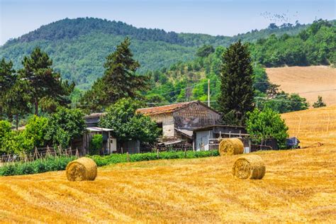 paesaggio rurale della provincia di Ravenna