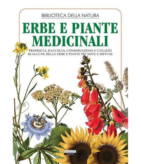 Piante medicinali e erbe