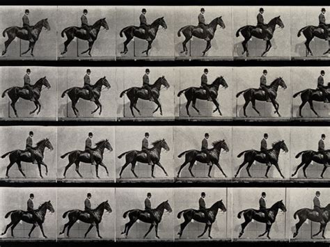 sequenza fotografica di Eadweard Muybridge che ritrae il galoppo di un cavallo