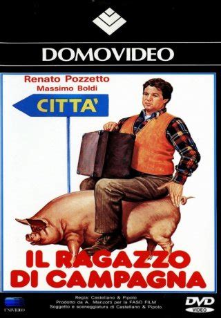 Manifesto del film Il ragazzo di campagna