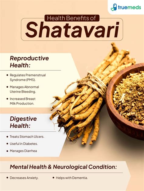Shatavari Q&A infographic