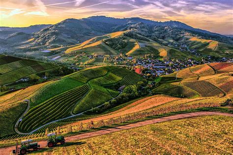 paesaggio rurale e collinare del trevigiano, contesto formativo di Luca Zaia