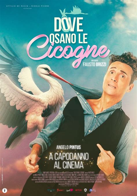 Locandina del film Dove osano le cicogne
