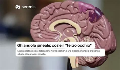 rappresentazione della ghiandola pineale e del ciclo circadiano