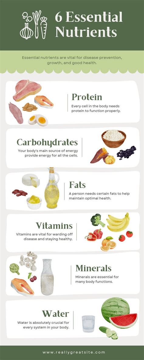 Infographic on essential nutrients