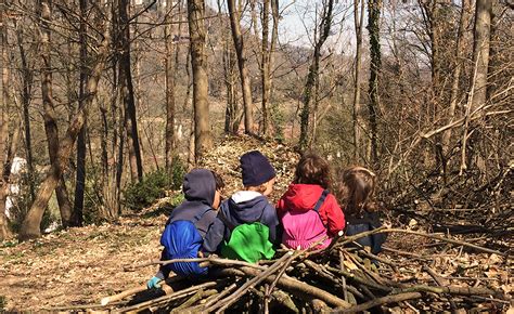 bambini che esplorano un ambiente naturale all'interno di un progetto scolastico