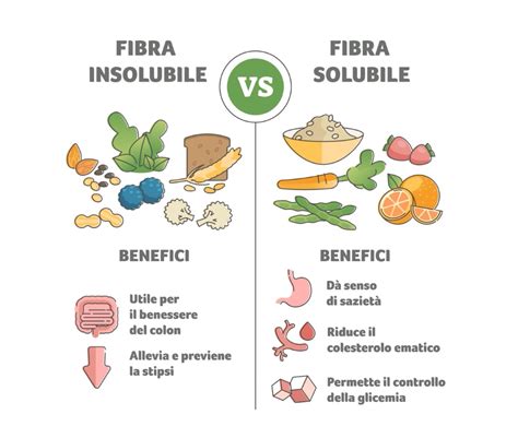 Fibra alimentare e sistema digestivo