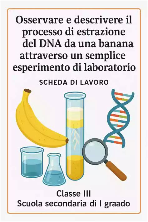 Processo di estrazione del Placentrex