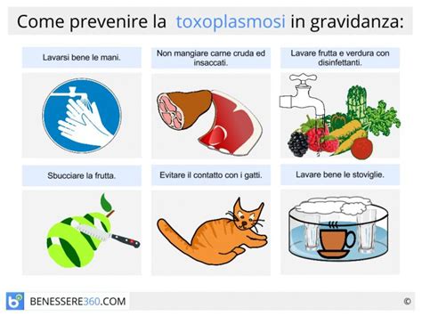 Prevenzione toxoplasmosi in gravidanza