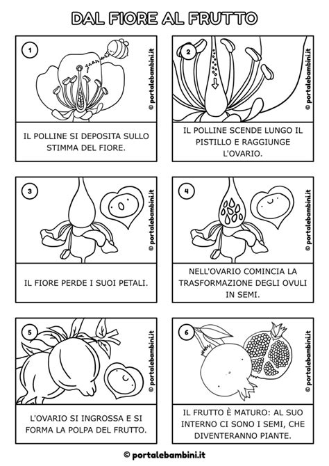 Pianta cleistogama in fiore