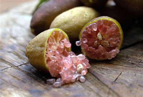 Dettaglio delle vescicole di finger lime