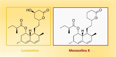rappresentazione chimica della monacolina K e struttura molecolare delle statine a confronto