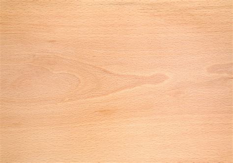 Superficie liscia di legno di faggio con grana dritta