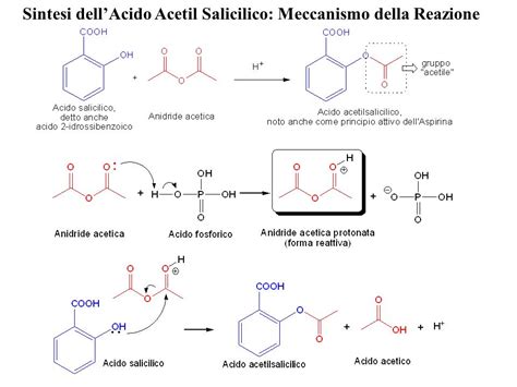 Meccanismo di Chelazione dell'Acido Fulvico