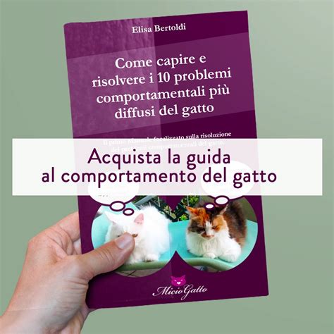 illustrazione scientifica che mostra il comportamento di impastamento e suzione dei gatti