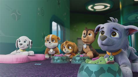 I cuccioli della PAW Patrol riuniti pronti per la missione