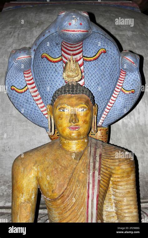 Buddha protected by Mucilinda