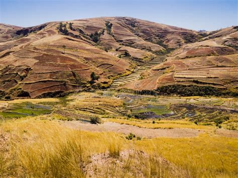 Veduta panoramica delle risaie terrazzate negli altopiani del Madagascar