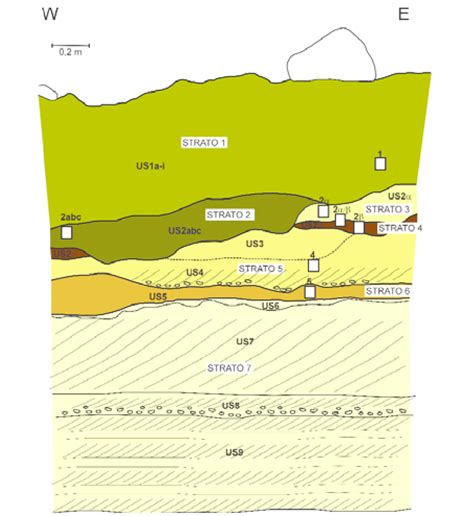 Ricostruzione stratigrafica di una grotta dolomitica sudafricana