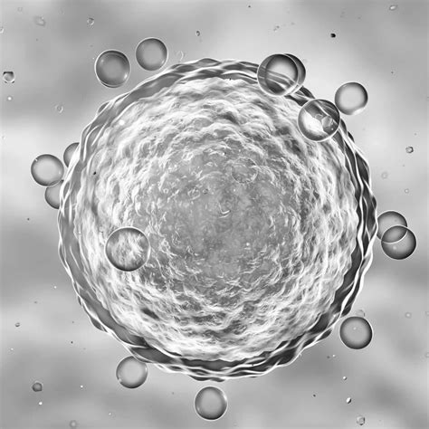 Vitrificazione ovocitaria