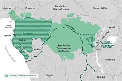 Mappa delle zone di distribuzione dei gorilla di pianura occidentale e le aree protette dove risiedono i centri di conservazione