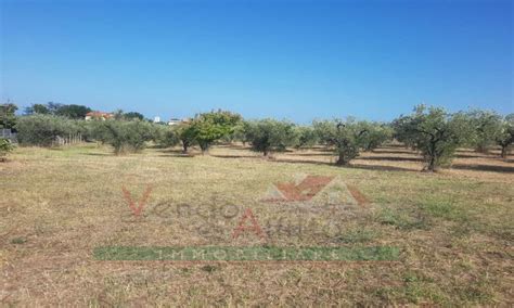 Veduta aerea di un centro abitato veneto con aree verdi e terreni agricoli circostanti