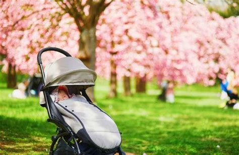 genitori con bambino in passeggino al parco