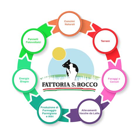 Illustrazione del concetto di filiera dedicata ai prodotti per l'infanzia