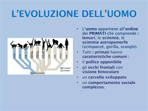 Schema che illustra l'evoluzione dei tabù linguistici e del loro uso metaforico