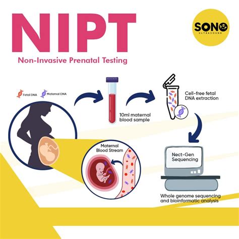 mappa concettuale del percorso diagnostico prenatale, dal test NIPT all'eventuale conferma diagnostica