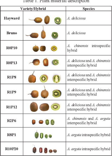 infografica sulle fasi fenologiche e fabbisogno nutritivo del kiwi