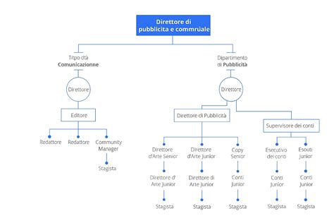 infografica che mostra la struttura gerarchica e le linee di comunicazione tra i collaboratori del DS