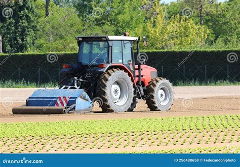 Campo coltivato in RimWorld