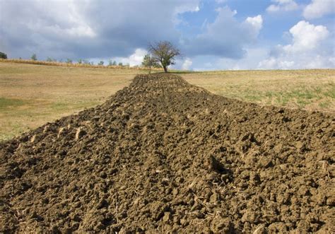 Terreno lavorato in RimWorld