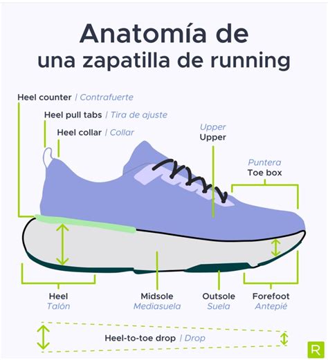 schema della struttura di una scarpa anatomica moderna a confronto con i modelli classici
