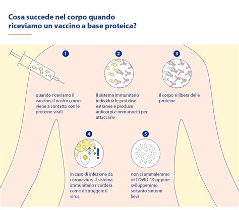 diagramma esplicativo del funzionamento dei vaccini mRNA e produzione della proteina Spike