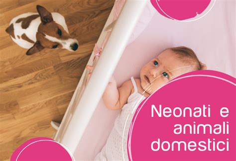 Infografica: Consigli per la sicurezza di neonati e animali domestici