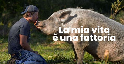 vita in fattoria